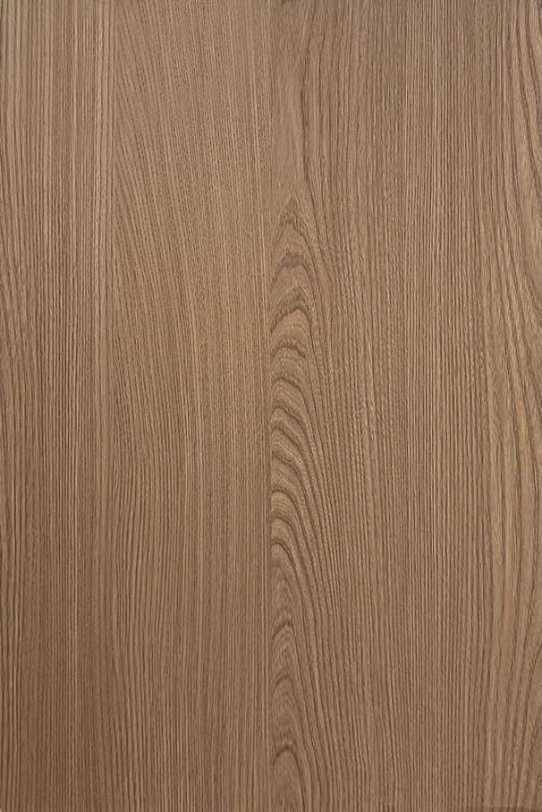 Aged Gray Elm