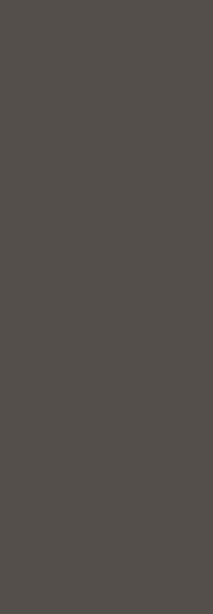 Slate Gray PET