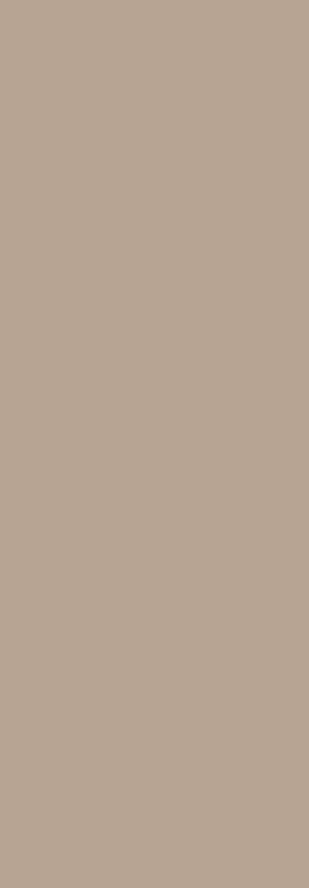 Khaki Beige PET